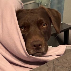 Meet your Posher, Jeremy